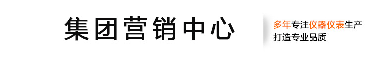 安徽天康（集團）股份有限公司（銷售中心）